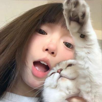 北极故事